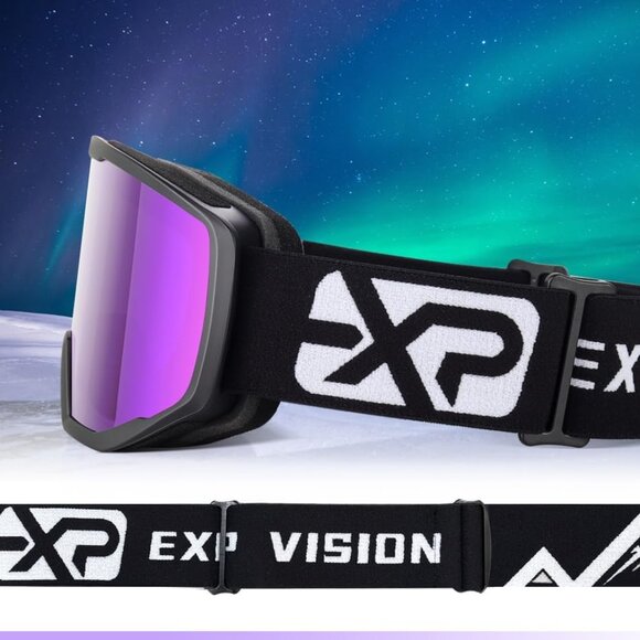 Ski/Snowboard Purple Goggles